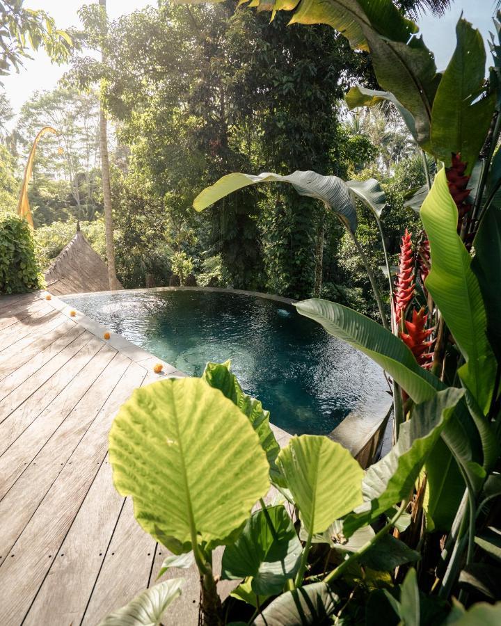Basundari Retreat Ubud Otel Dış mekan fotoğraf