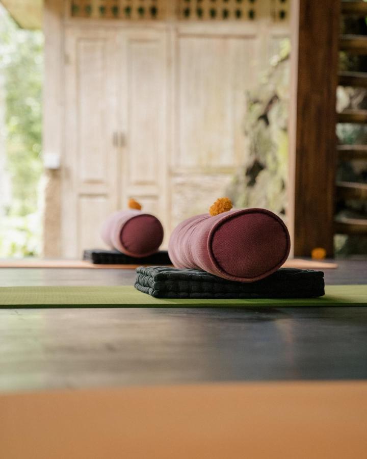 Basundari Retreat Ubud Otel Dış mekan fotoğraf